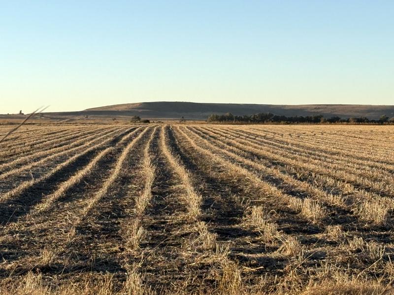 0 Bedroom Property for Sale in Warden Free State